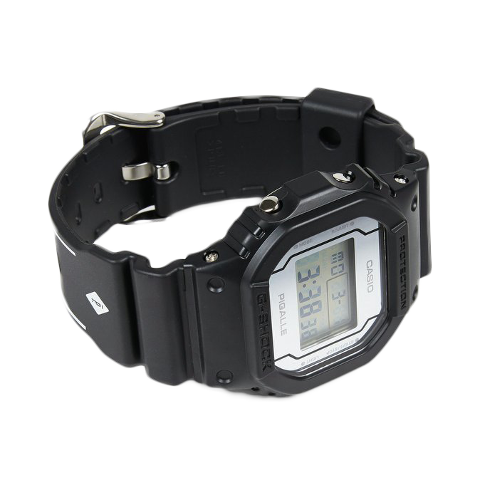 DW-5600PGB-1E