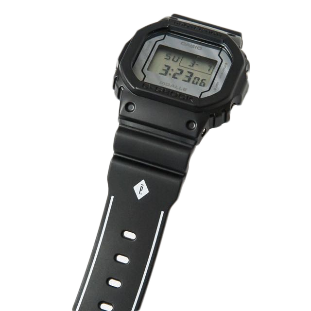 DW-5600PGB-1E