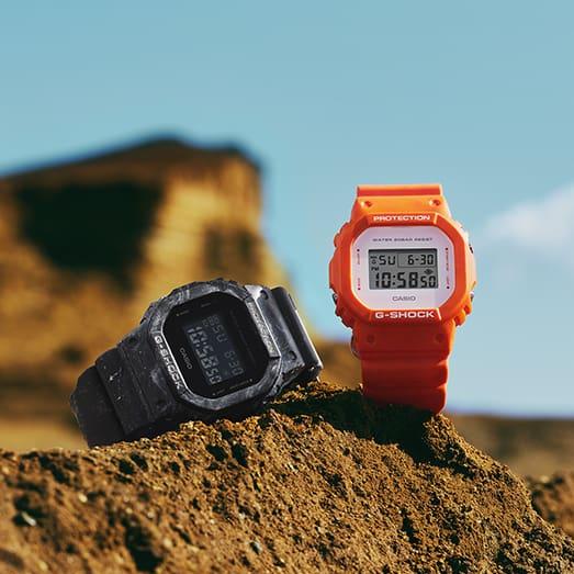 DW-5600WS-4