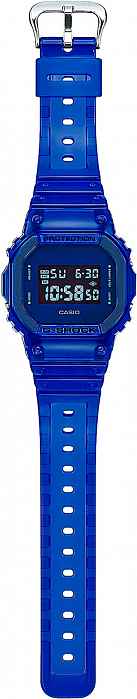 DW-5600SB-2ER