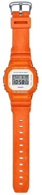 DW-5600WS-4