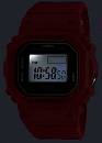 DWN-5600-4