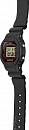 DW-5600AI-1