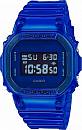 DW-5600SB-2ER