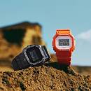 DW-5600WS-4