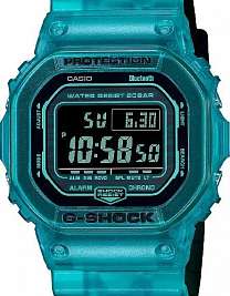 DW-B5600G-2