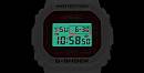 DW-5600GRLZN-7ER