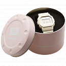 DW-5600PGW-7E