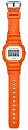 DW-5600WS-4